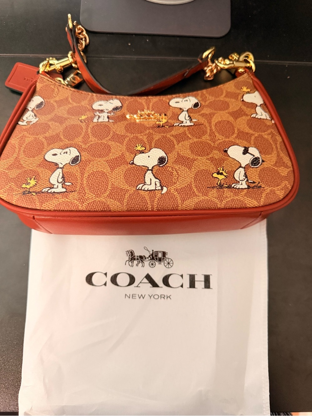 Coach x Peanuts Snoopy Shoulder Bag 👜✨